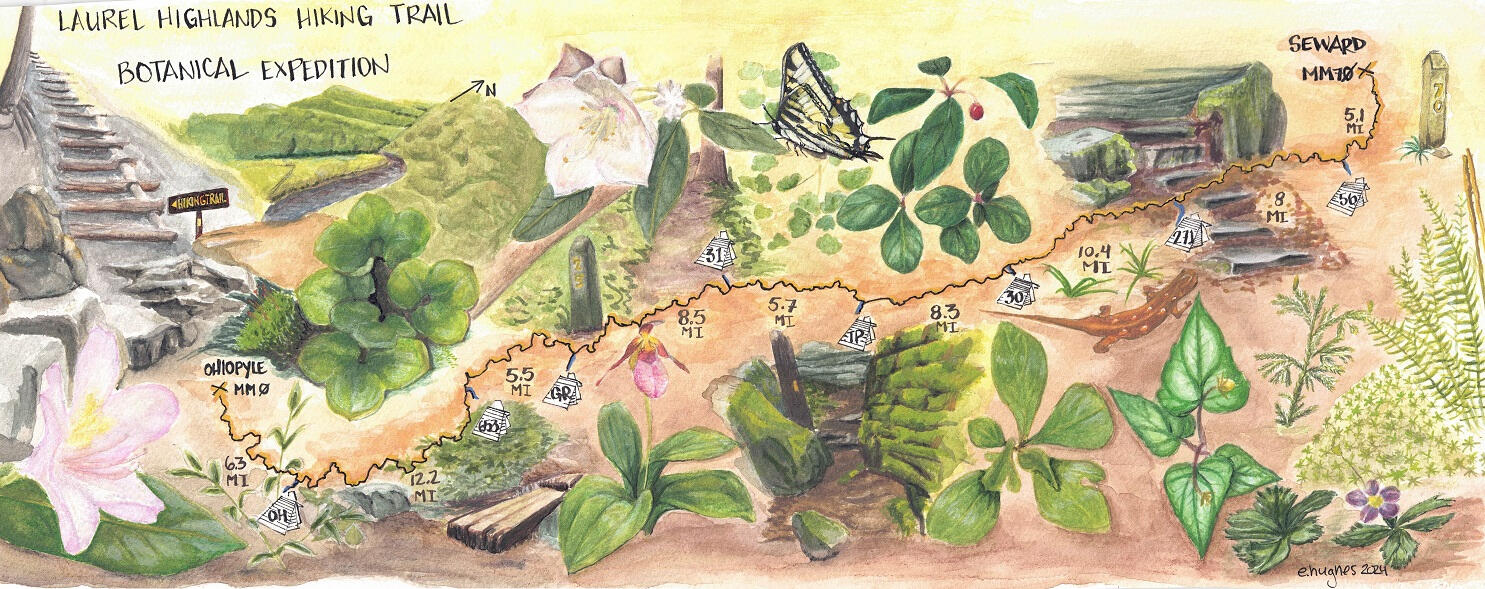 Laurel Highlands Hiking Trail Botanical Map